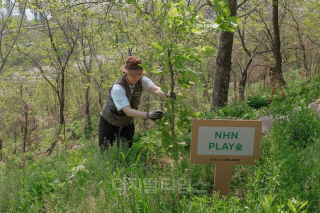 NHN 임직원이 서울 마포 노을공원에 조성된 'NHN 플레이숲'에 밀원수를 심고 있다. NHN 제공